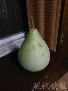 盐城夏天吃的瓜,探寻盐城夏天的特色瓜果盛宴