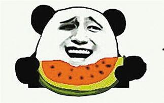 吃瓜群众是什么动物,揭秘网络时代的“瓜田”动物