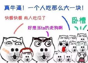 吃瓜群众大合集下载,揭秘网络热议背后的众生相