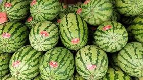 河马吃瓜解暑,夏日清凉新风尚