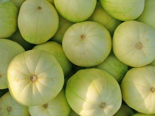 吃瓜不甜吃甜瓜,吃甜瓜的智慧与乐趣