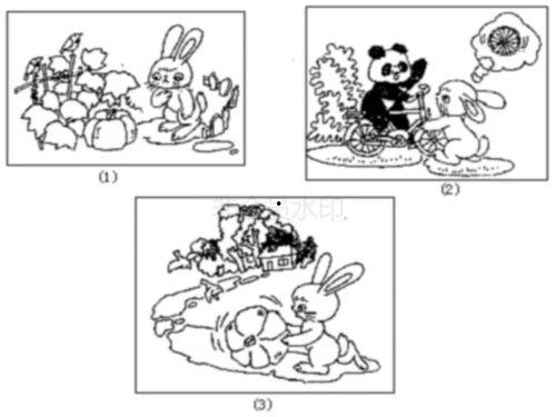 瓜园吃瓜看图写话,吃瓜群众的欢乐时光