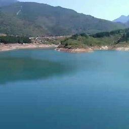 飞鱼在线吃瓜,揭秘网络红人的幕后故事