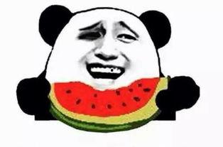 吃瓜阿瞒,网络红人的崛起与影响力