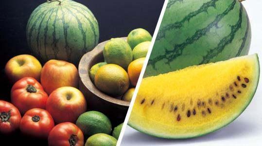 文字吃瓜黄,网络舆论场中的热点追踪与反思