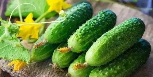 吃骨头瓜,吃骨头瓜的奇妙之旅