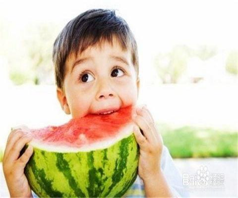 抱着奈布吃瓜,抱抱吃瓜，共享欢乐时光