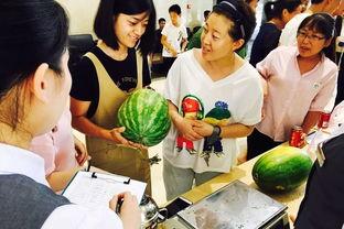 吃瓜群众4362,网络热议背后的故事