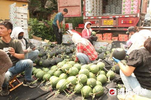 吃瓜前线,揭秘娱乐圈最新热点事件