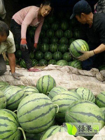 云浮最新吃瓜新闻,最新吃瓜新闻揭秘，真相令人咋舌！