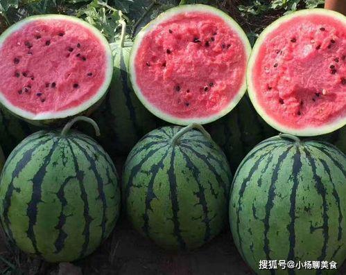 吃瓜在线观看网站,在线观看，畅享娱乐盛宴