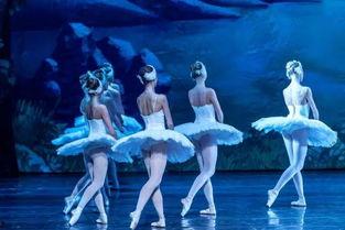 吃巧克力吃瓜视频上舞蹈课,甜蜜与欢笑交织的舞蹈之旅