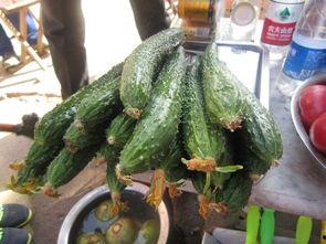 泰山上吃瓜,夏日吃瓜趣事