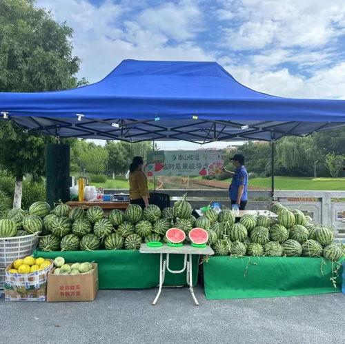 泰山上吃瓜,夏日吃瓜趣事