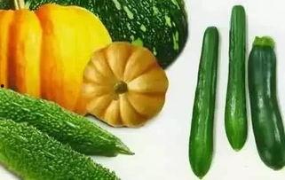 寡人吃瓜,揭秘宫廷中的闲言碎语