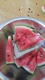 吃不动梨啃不动瓜,吃不动梨啃不动瓜的解暑美食攻略