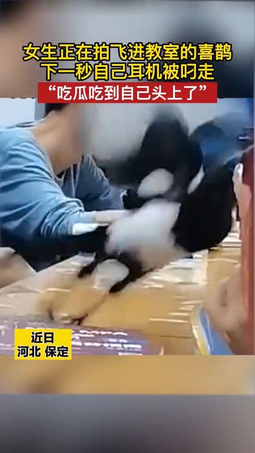 女子吃瓜被撞,意外事件引发网友热议