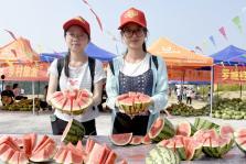 吃瓜爆料广西,揭秘当地热点事件背后的真相