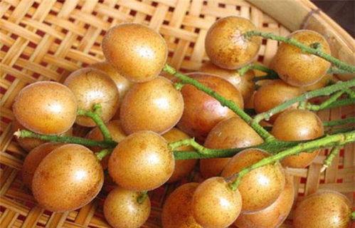 黄皮角瓜怎么吃